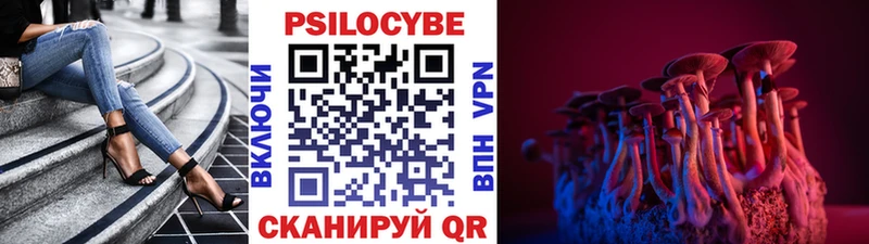 Галлюциногенные грибы Psilocybe  Струнино 